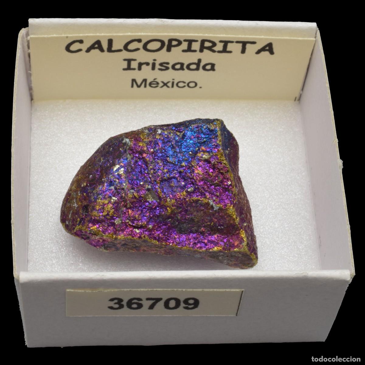 Coleccionismo de minerales: CALCOPIRITA Irisada (Mexico) #36709