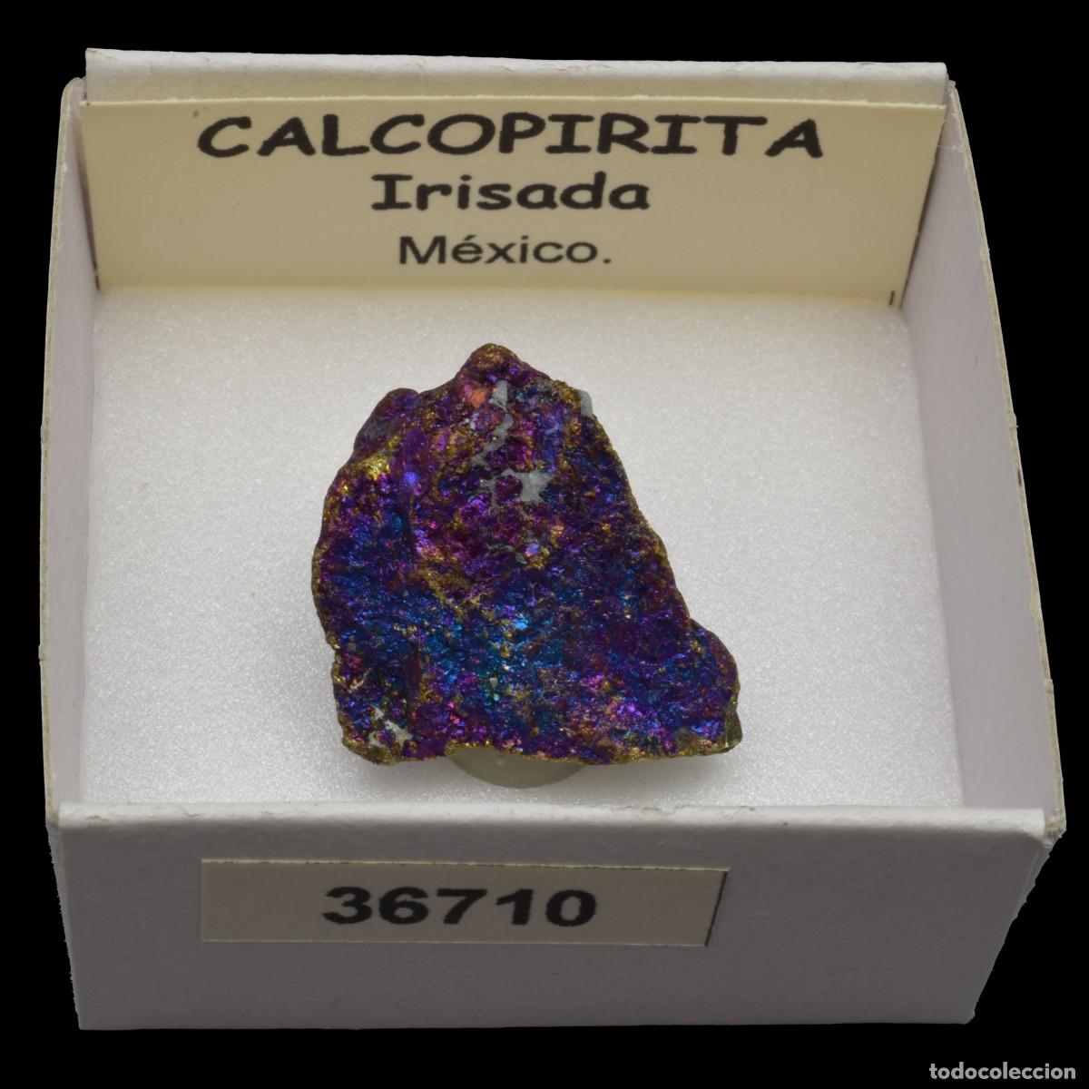 Coleccionismo de minerales: CALCOPIRITA Irisada (Mexico) #36710