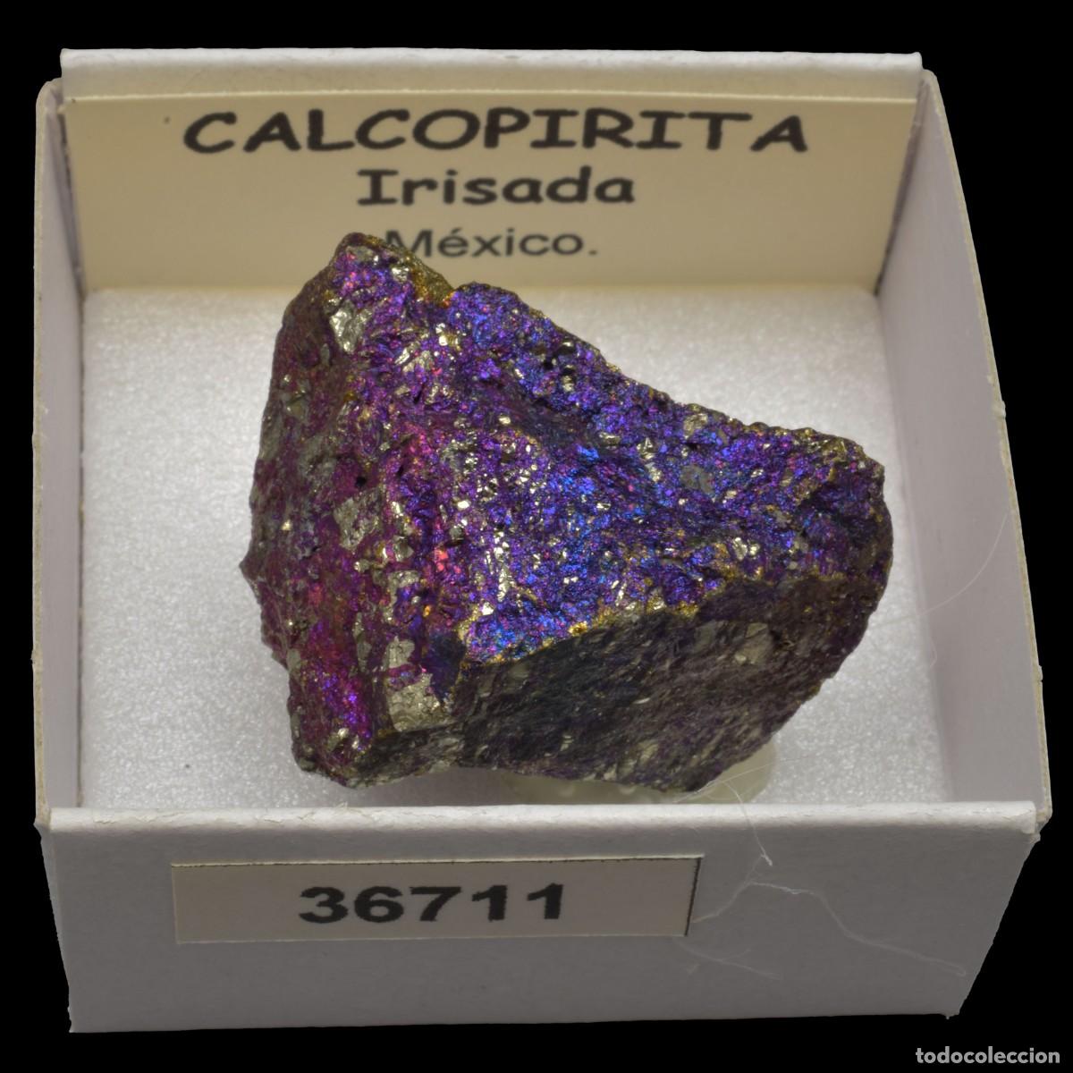Coleccionismo de minerales: CALCOPIRITA Irisada (Mexico) #36711