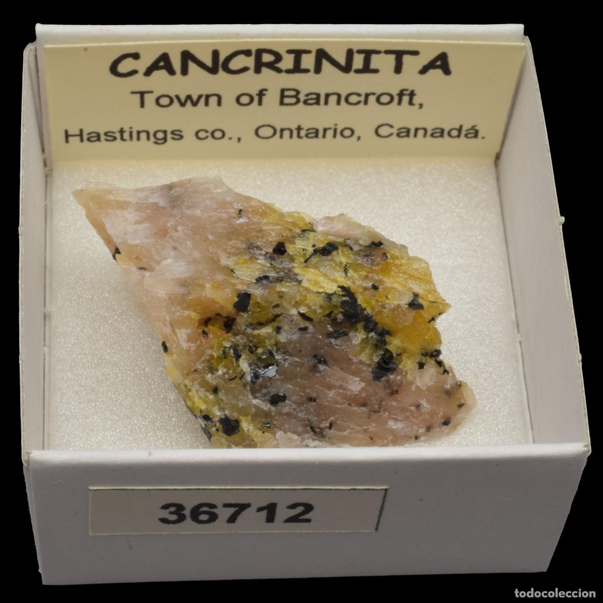 Coleccionismo de minerales: CANCRINITA (Town of Bancroft, Hastings co., Ontario, Canada) #36712