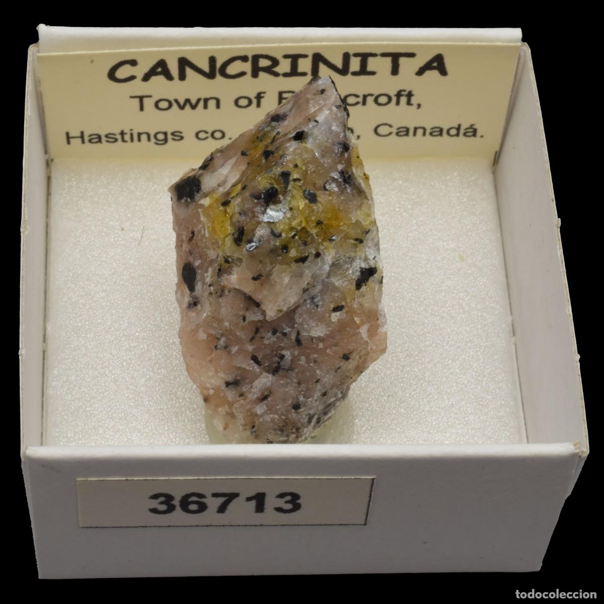 Coleccionismo de minerales: CANCRINITA (Town of Bancroft, Hastings co., Ontario, Canada) #36713