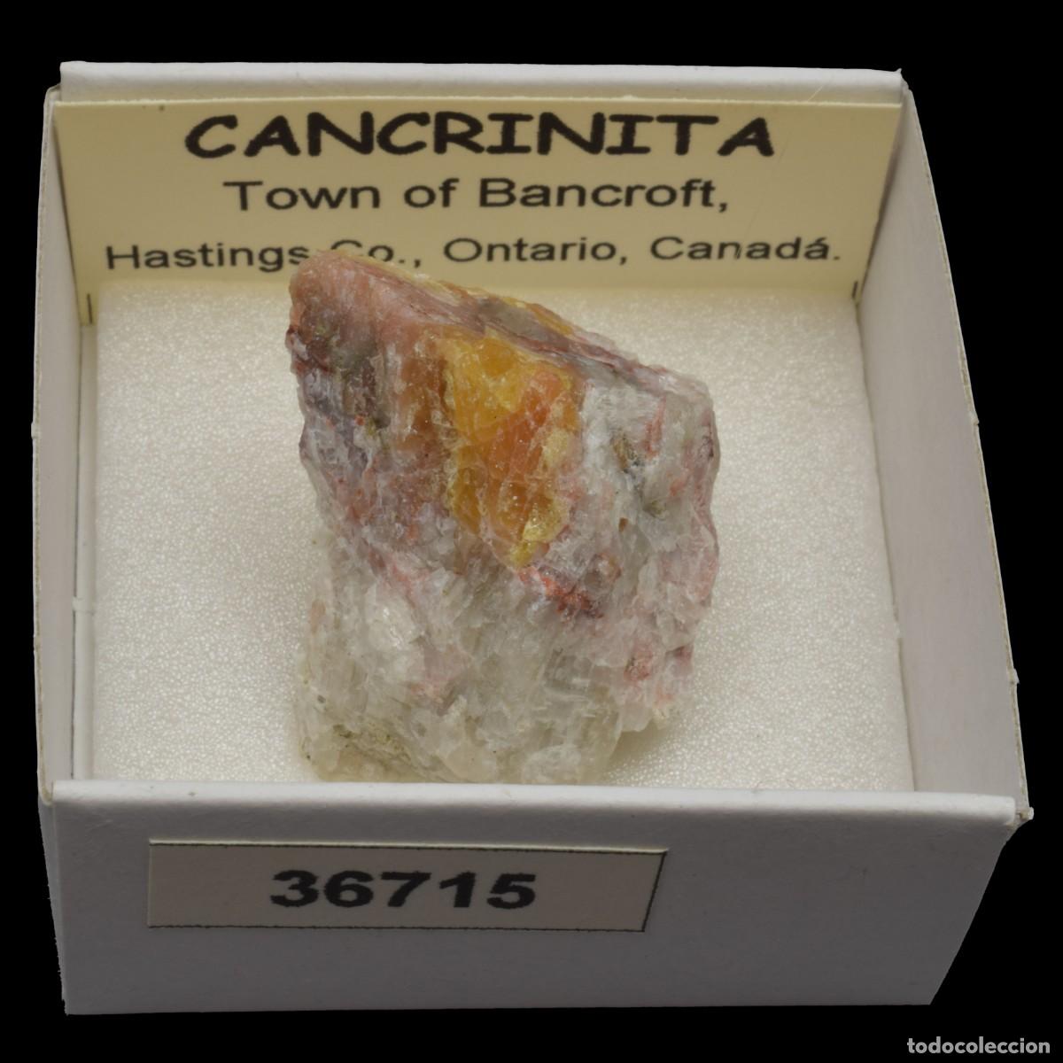 Coleccionismo de minerales: CANCRINITA (Town of Bancroft, Hastings co., Ontario, Canada) #36715