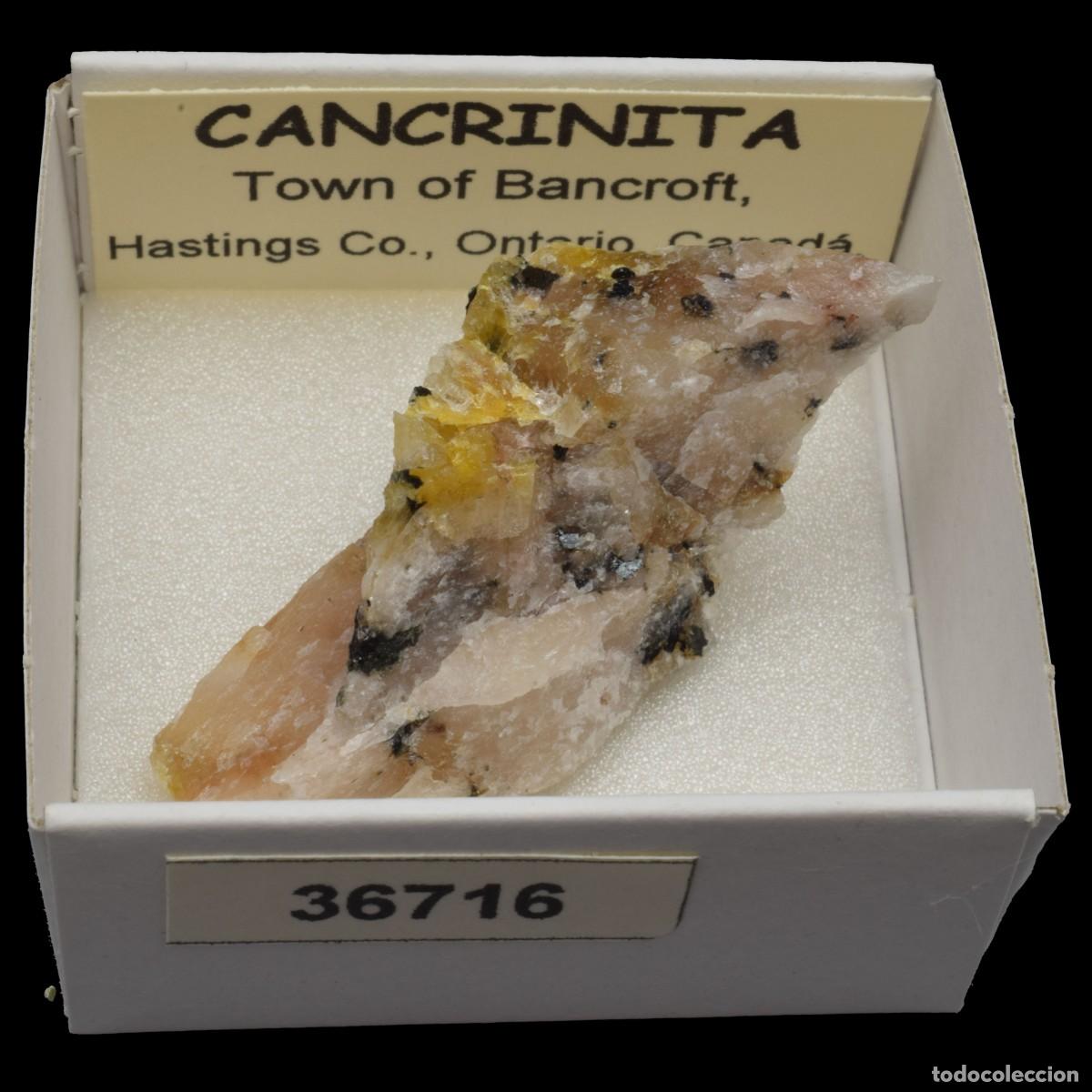 Coleccionismo de minerales: CANCRINITA (Town of Bancroft, Hastings co., Ontario, Canada) #36716