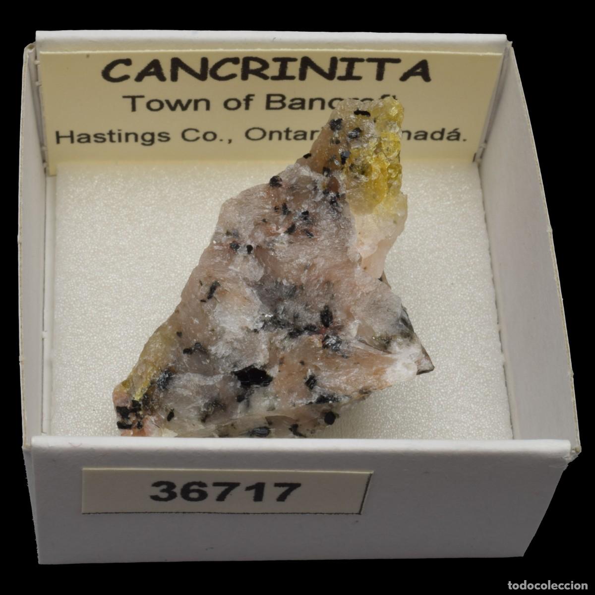 Coleccionismo de minerales: CANCRINITA (Town of Bancroft, Hastings co., Ontario, Canada) #36717