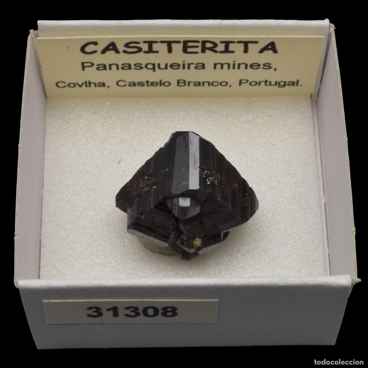 Coleccionismo de minerales: CASITERITA xx (Panasqueira mines, Covilha, Castelo Branco, Portugal) #31308