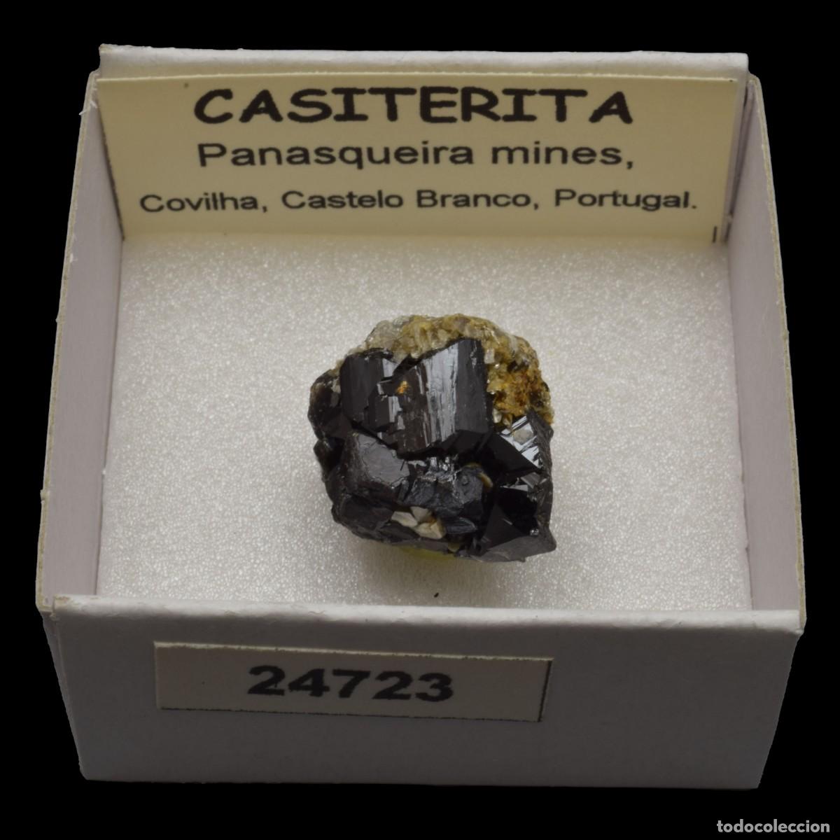 Coleccionismo de minerales: CASITERITA xx (Panasqueira mines, Covilha, Castelo Branco, Portugal) #24723