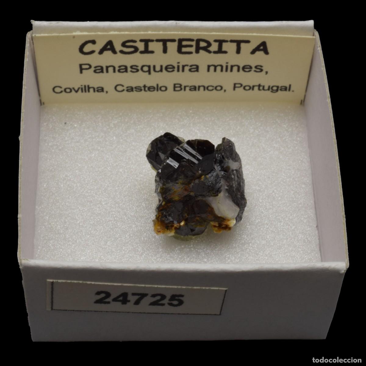 Coleccionismo de minerales: CASITERITA xx (Panasqueira mines, Covilha, Castelo Branco, Portugal) #24725