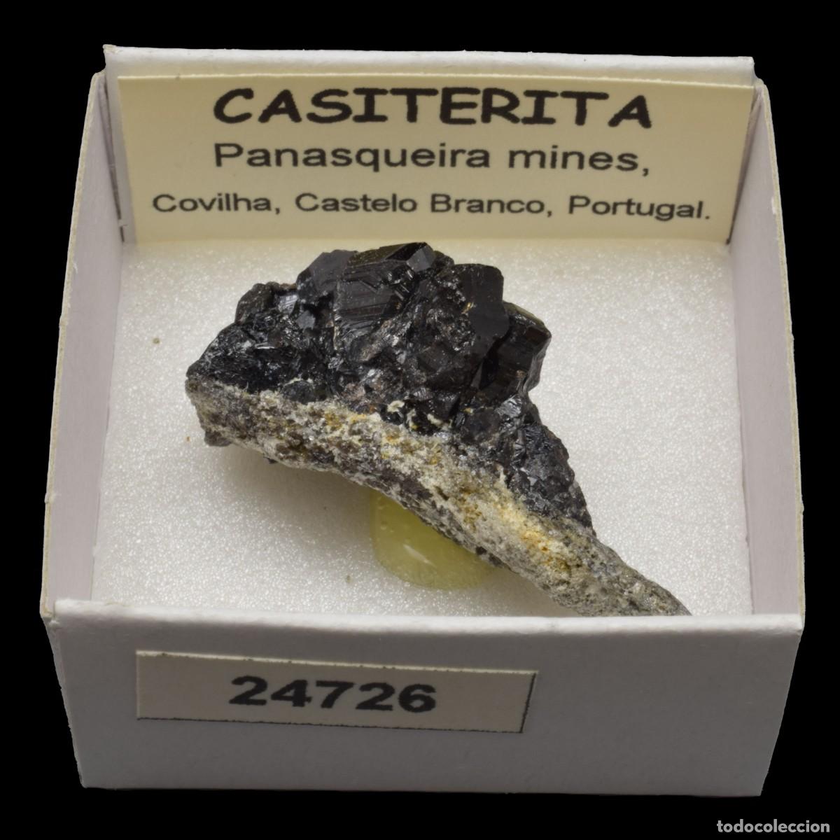 Coleccionismo de minerales: CASITERITA xx (Panasqueira mines, Covilha, Castelo Branco, Portugal) #24726