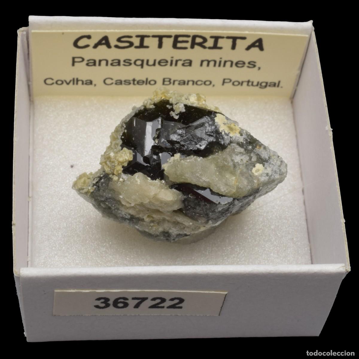 Coleccionismo de minerales: CASITERITA xx (Panasqueira mines, Covilha, Castelo Branco, Portugal) #36722