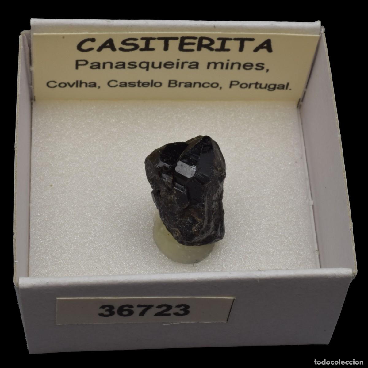 Coleccionismo de minerales: CASITERITA xx (Panasqueira mines, Covilha, Castelo Branco, Portugal) #36723