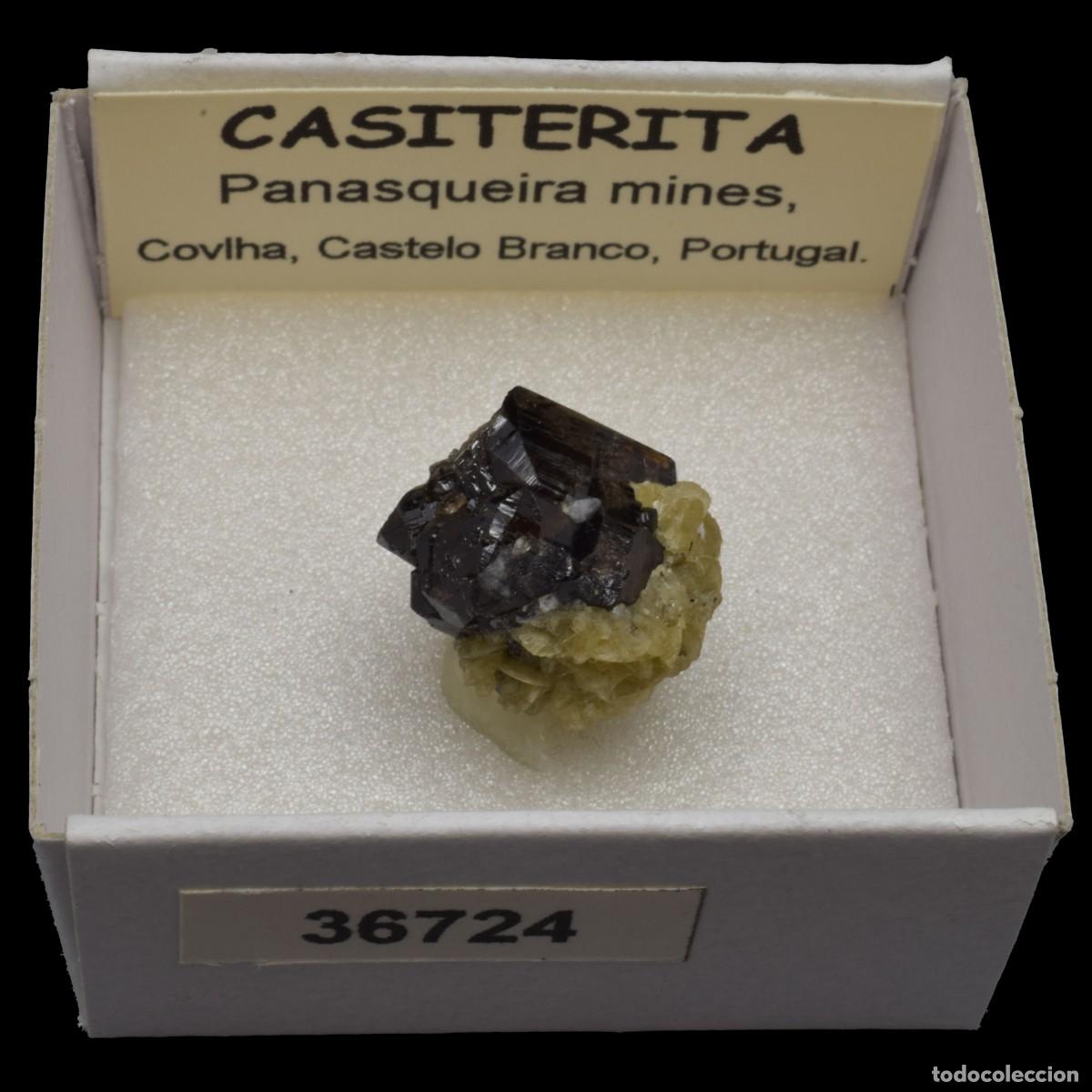 Coleccionismo de minerales: CASITERITA xx (Panasqueira mines, Covilha, Castelo Branco, Portugal) #36724