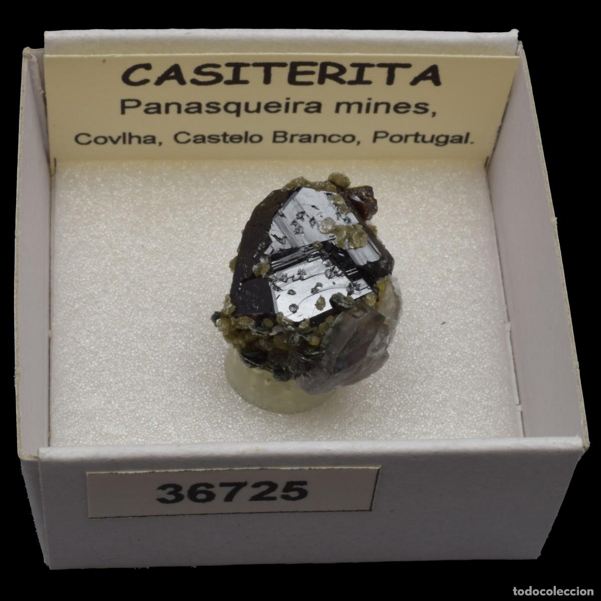 Coleccionismo de minerales: CASITERITA xx (Panasqueira mines, Covilha, Castelo Branco, Portugal) #36725