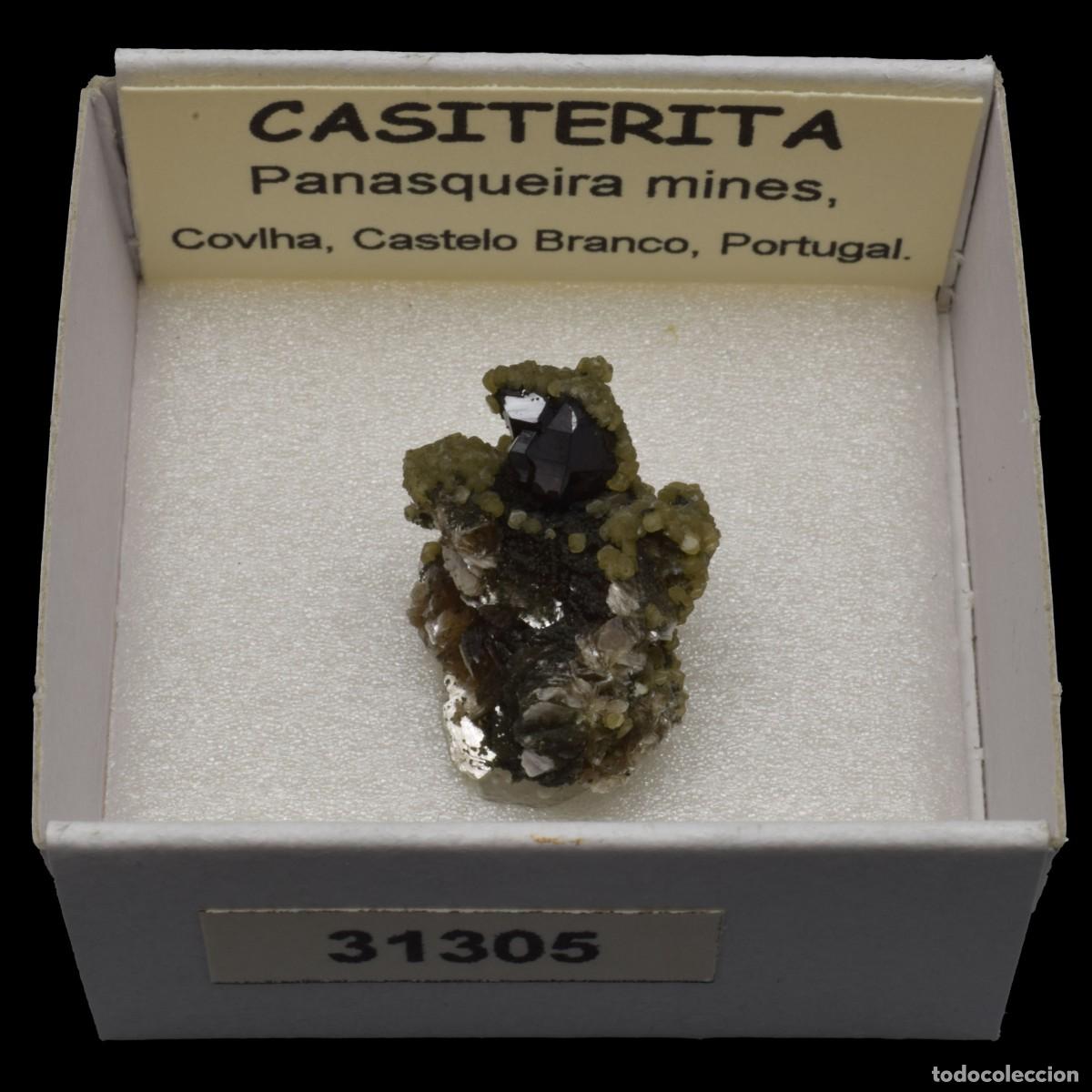Coleccionismo de minerales: CASITERITA xx (Panasqueira mines, Covilha, Castelo Branco, Portugal) #31305
