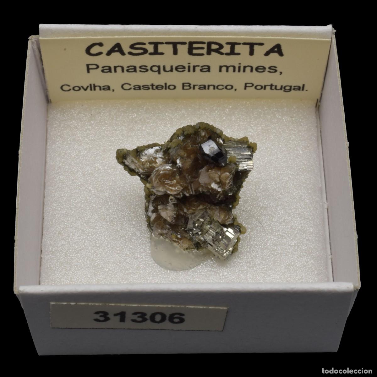 Coleccionismo de minerales: CASITERITA xx (Panasqueira mines, Covilha, Castelo Branco, Portugal) #31306