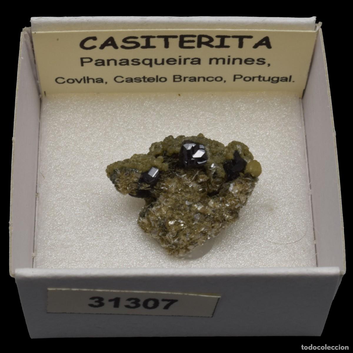 Coleccionismo de minerales: CASITERITA xx (Panasqueira mines, Covilha, Castelo Branco, Portugal) #31307