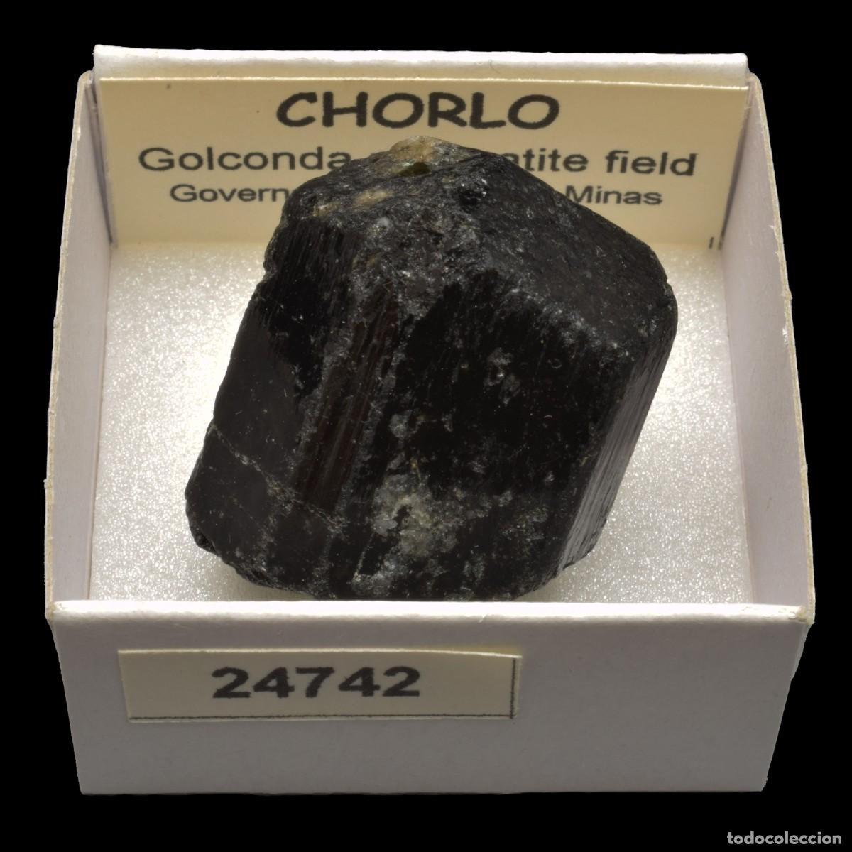 Coleccionismo de minerales: CHORLO (Golconda Pegmatite field, Governador Valadares, Minas Gerais, Brasil) #24742