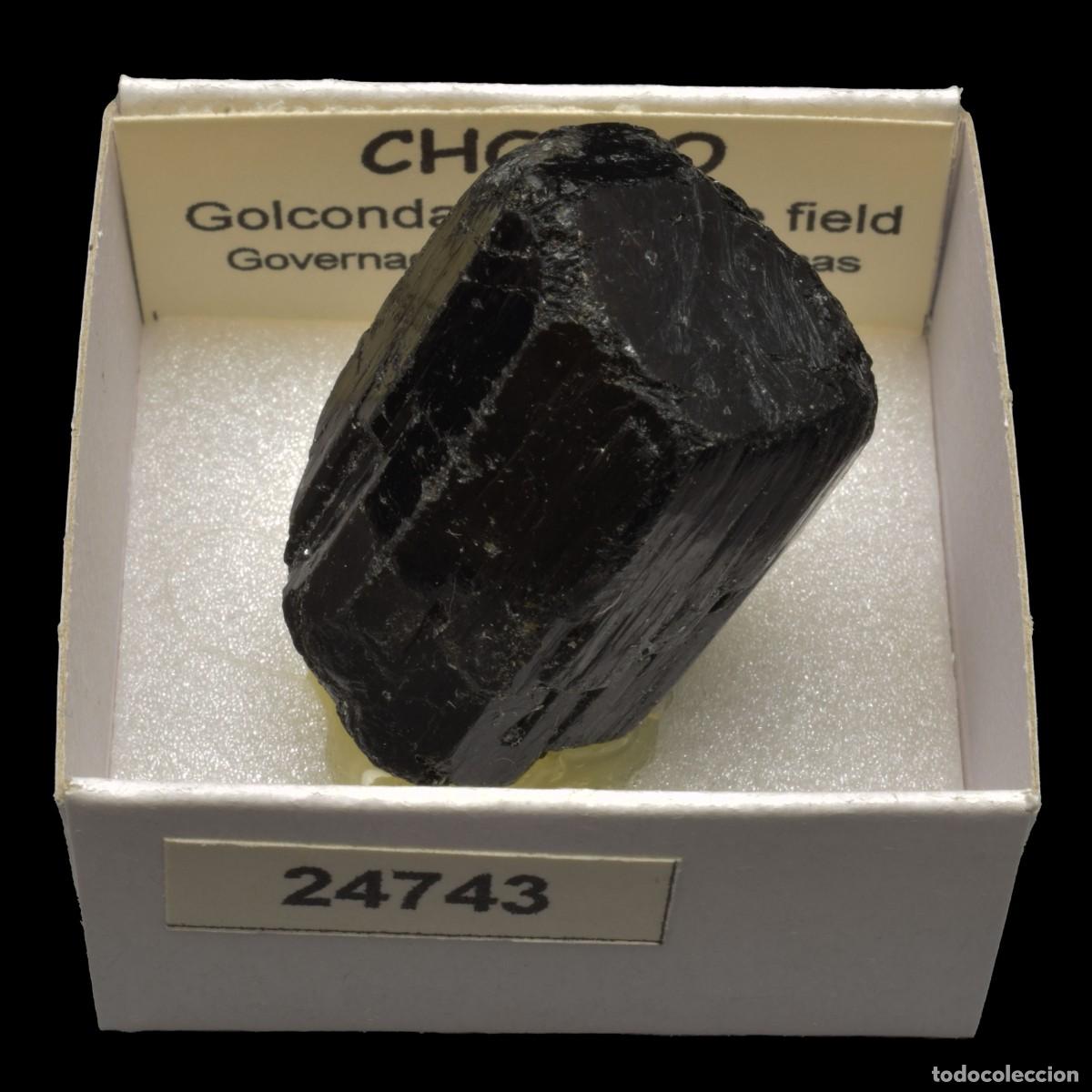 Coleccionismo de minerales: CHORLO (Golconda Pegmatite field, Governador Valadares, Minas Gerais, Brasil) #24743