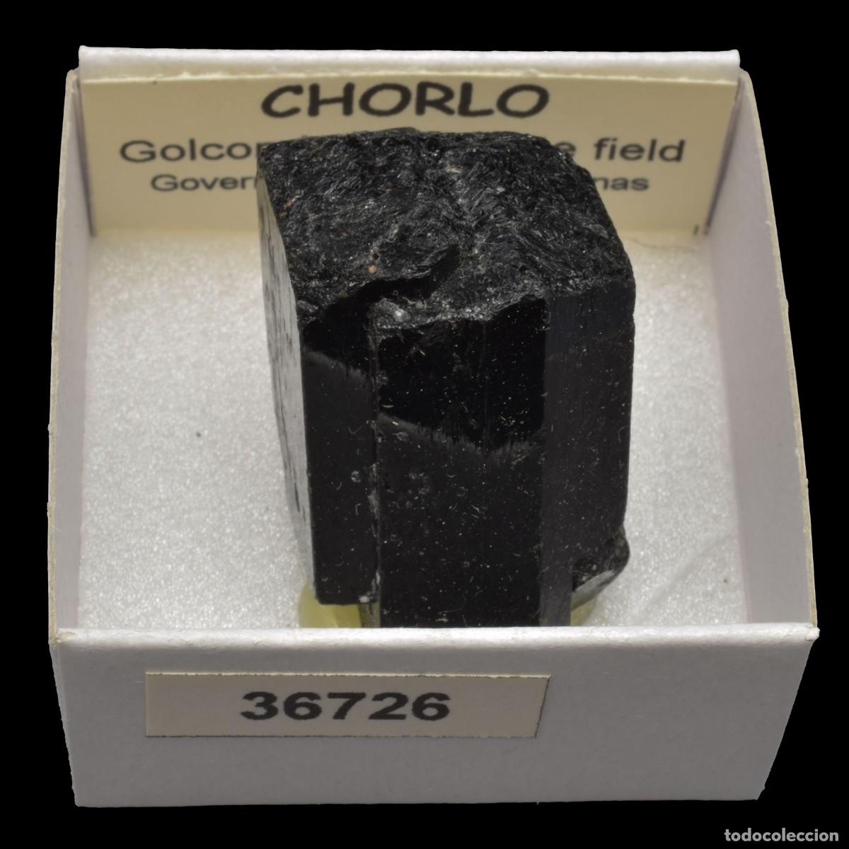 Coleccionismo de minerales: CHORLO (Golconda Pegmatite field, Governador Valadares, Minas Gerais, Brasil) #36726