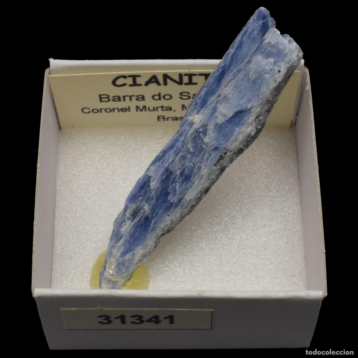 Sammlung von Mineralien: CIANITA (Barra do Salinas, Coronel Murta, Minas Gerais, Brasil) #31341