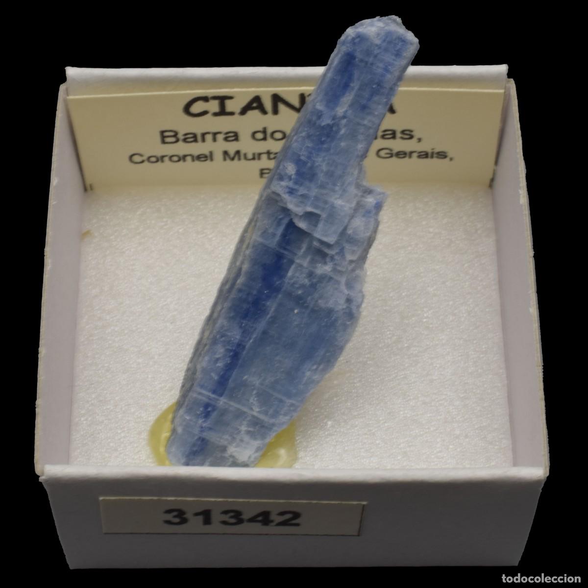 Sammlung von Mineralien: CIANITA (Barra do Salinas, Coronel Murta, Minas Gerais, Brasil) #31342