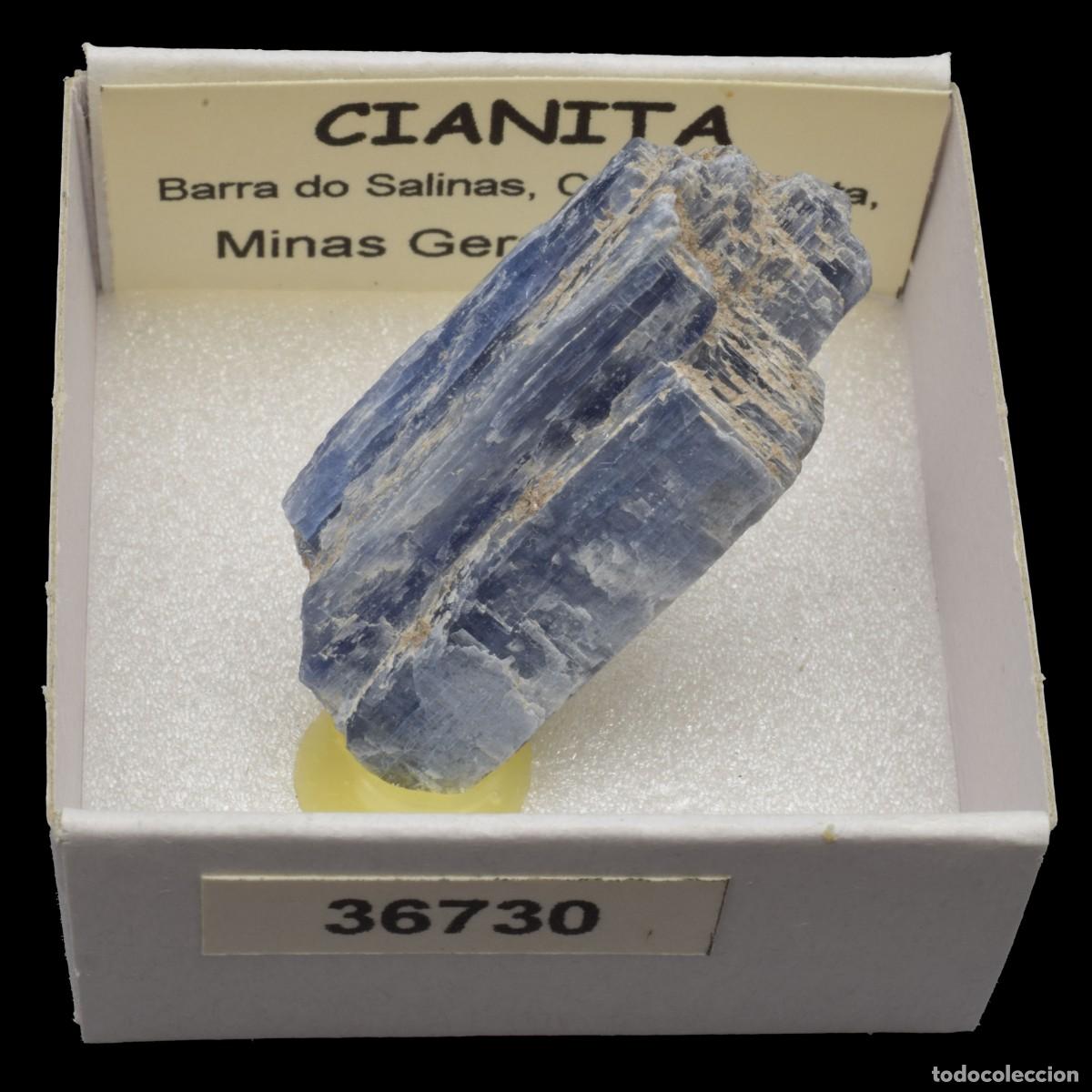 Sammlung von Mineralien: CIANITA (Barra do Salinas, Coronel Murta, Minas Gerais, Brasil) #36730