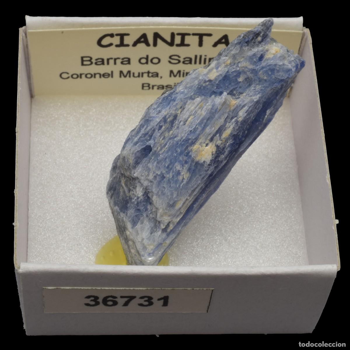 Sammlung von Mineralien: CIANITA (Barra do Salinas, Coronel Murta, Minas Gerais, Brasil) #36731