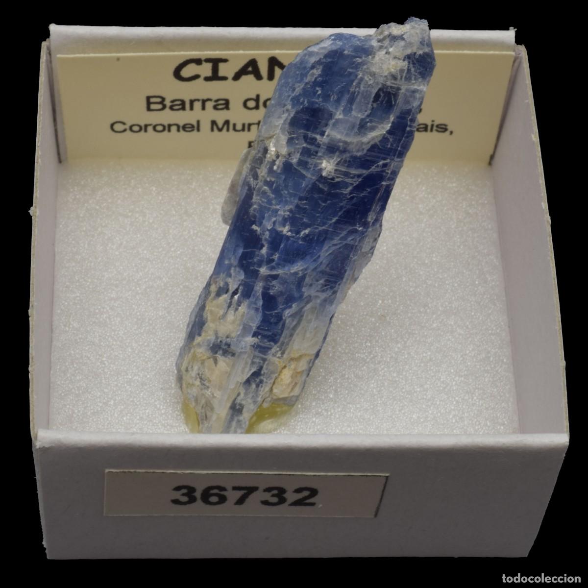 Sammlung von Mineralien: CIANITA (Barra do Salinas, Coronel Murta, Minas Gerais, Brasil) #36732