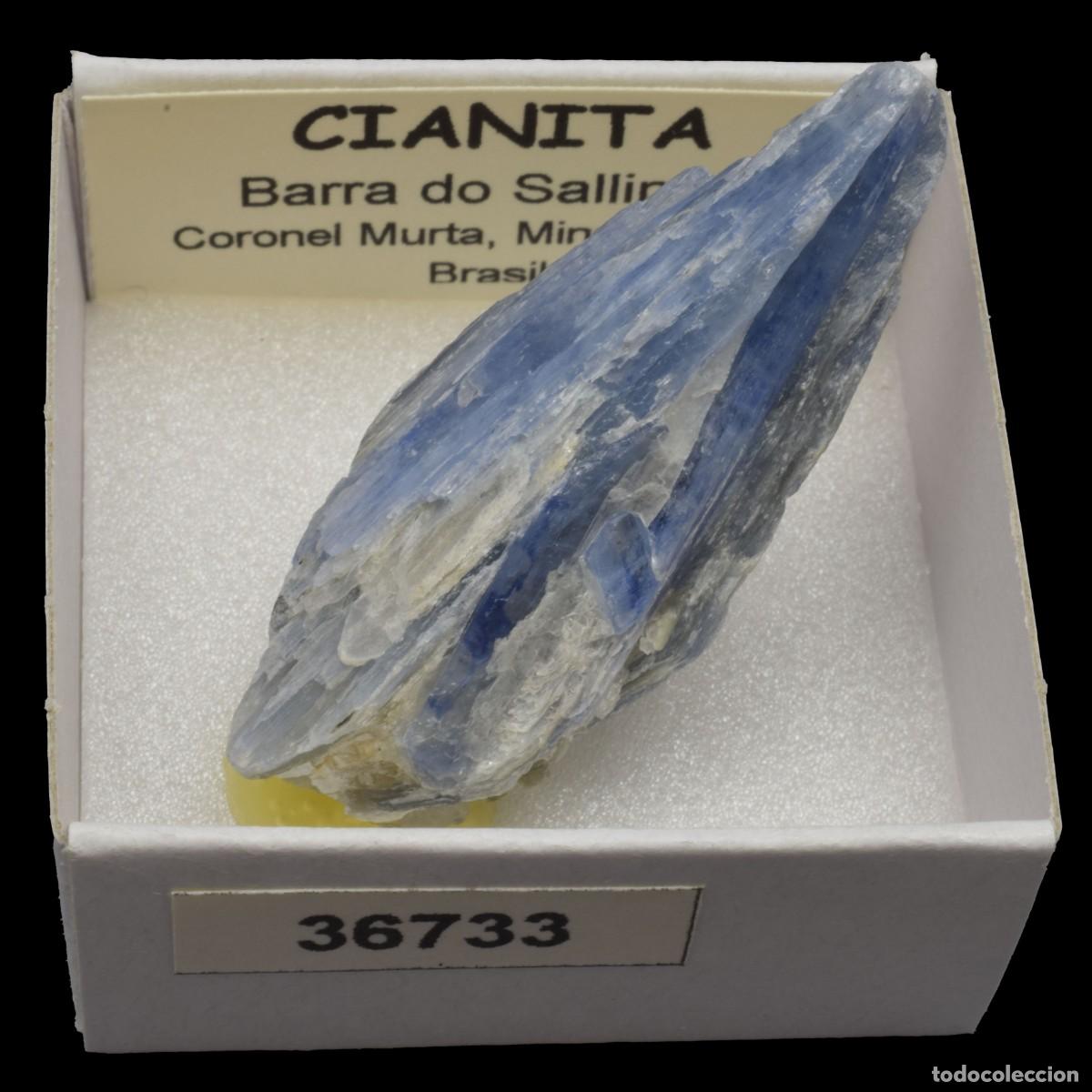 Sammlung von Mineralien: CIANITA (Barra do Salinas, Coronel Murta, Minas Gerais, Brasil) #36733
