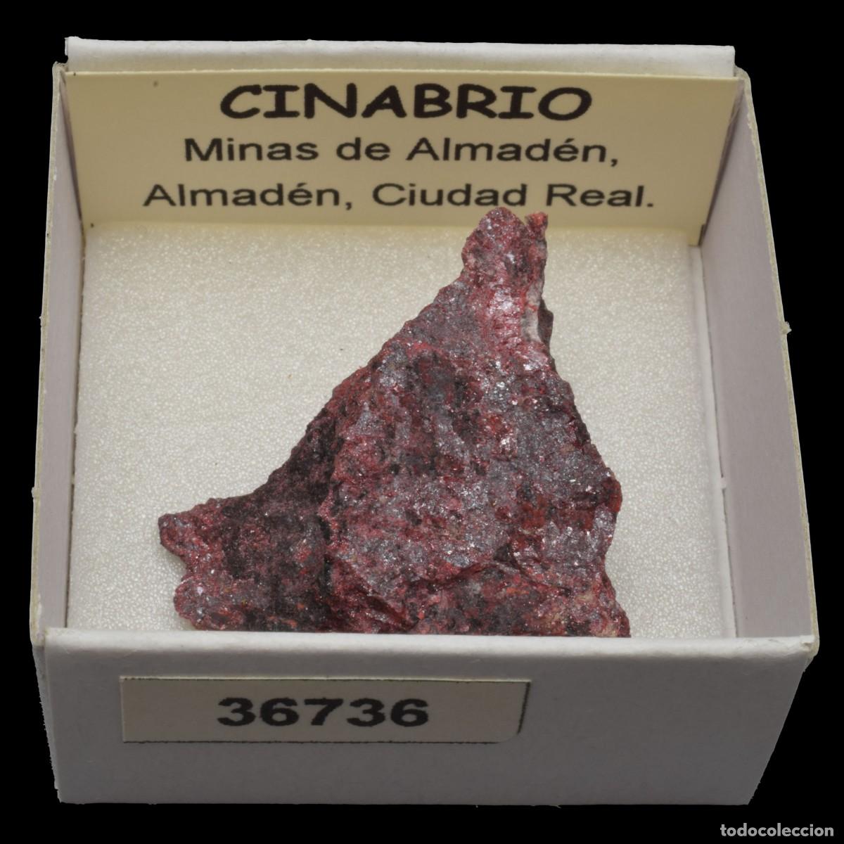 Sammlung von Mineralien: CINABRIO (Minas de Almaden, Almaden, Ciudad Real, Espa&ntilde;a) #36736