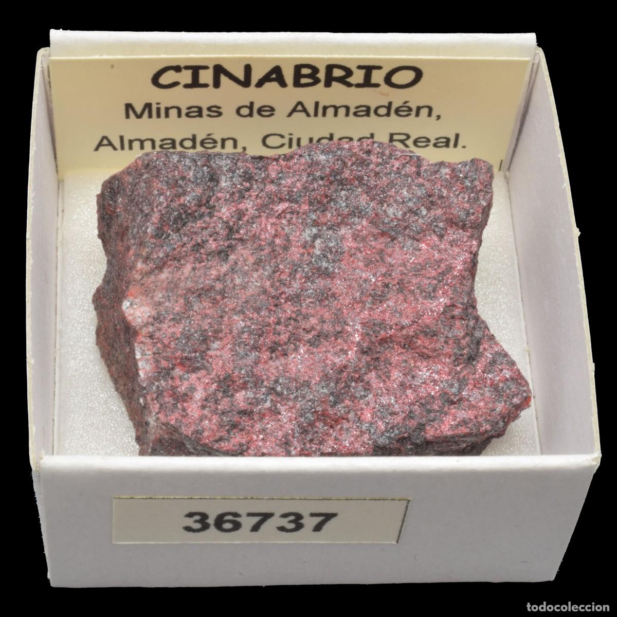 Sammlung von Mineralien: CINABRIO (Minas de Almaden, Almaden, Ciudad Real, Espa&ntilde;a) #36737