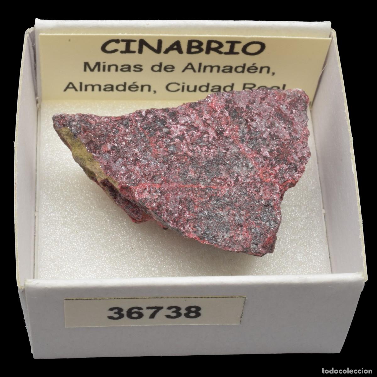 Coleccionismo de minerales: CINABRIO (Minas de Almaden, Almaden, Ciudad Real, Espa&ntilde;a) #36738