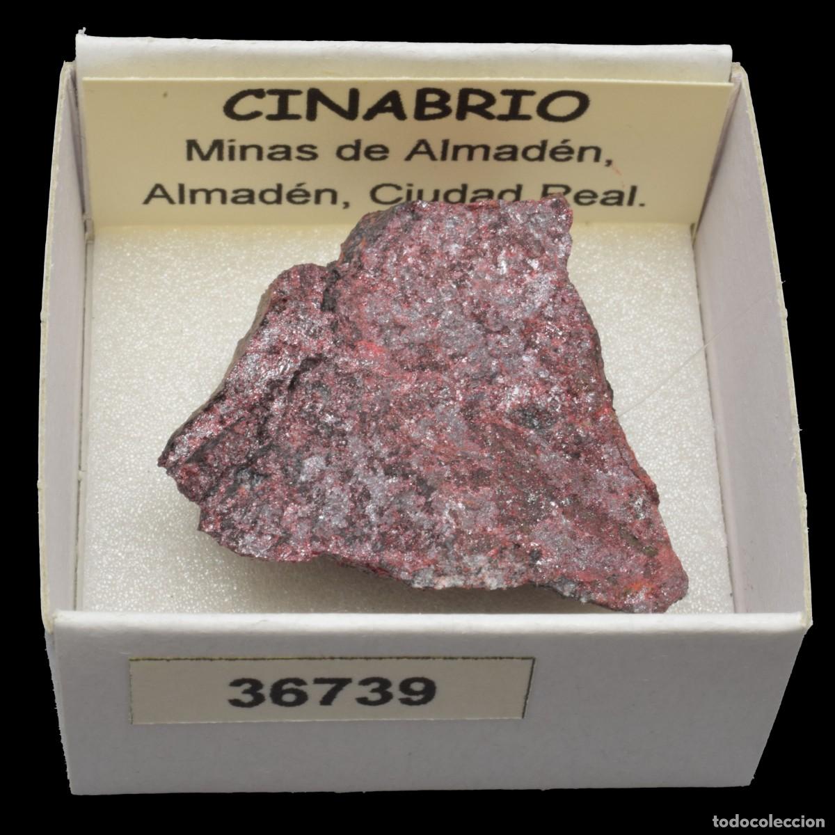 Coleccionismo de minerales: CINABRIO (Minas de Almaden, Almaden, Ciudad Real, Espa&ntilde;a) #36739