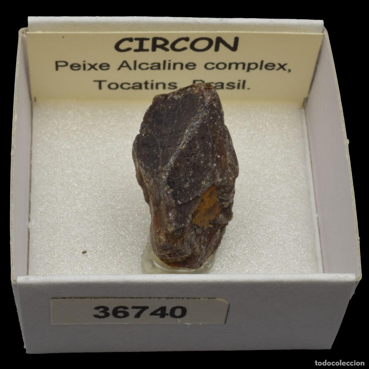 Coleccionismo de minerales: CIRCON (Peixe alkaline complex, Tocatins, Brasil) #36740