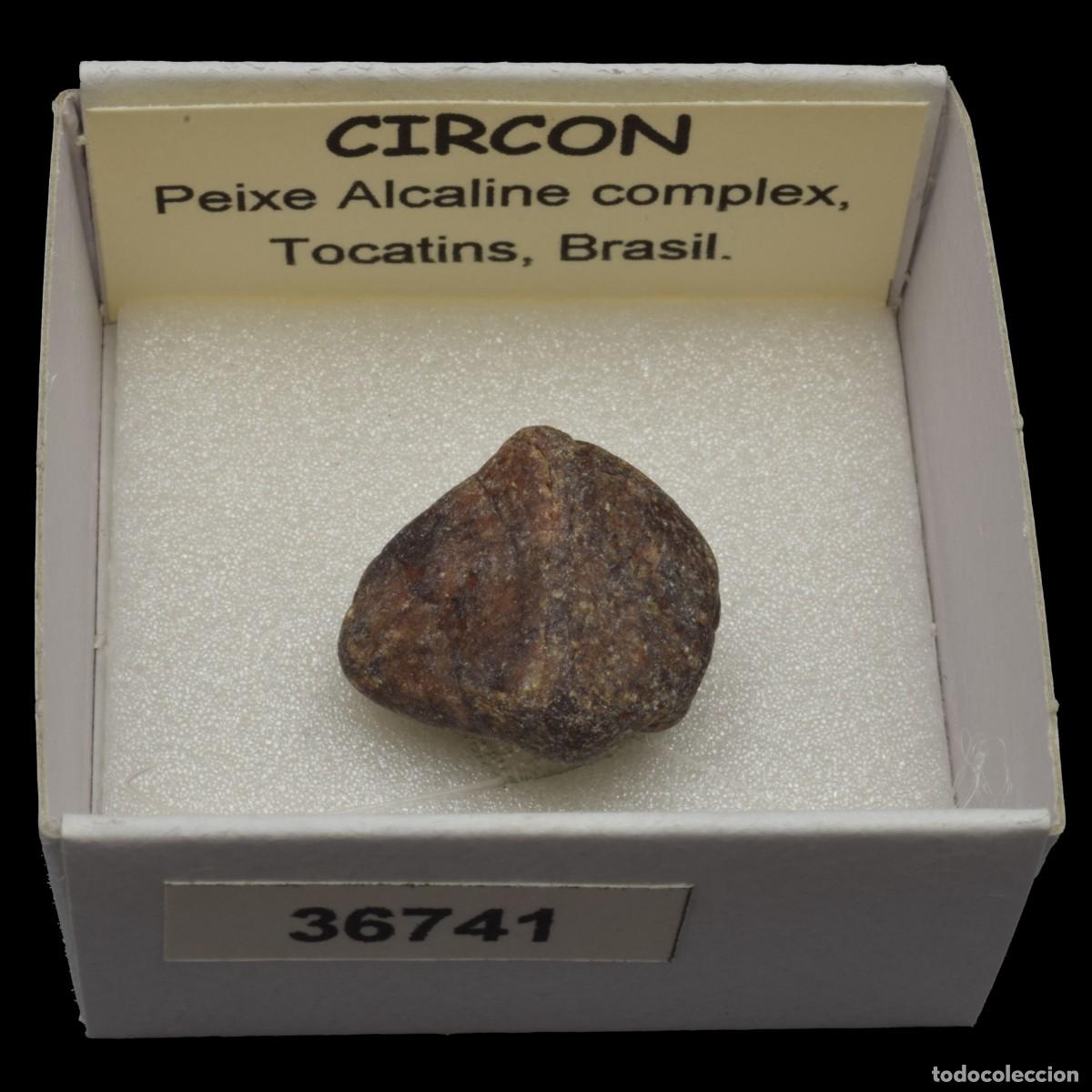 Coleccionismo de minerales: CIRCON (Peixe alkaline complex, Tocatins, Brasil) #36741