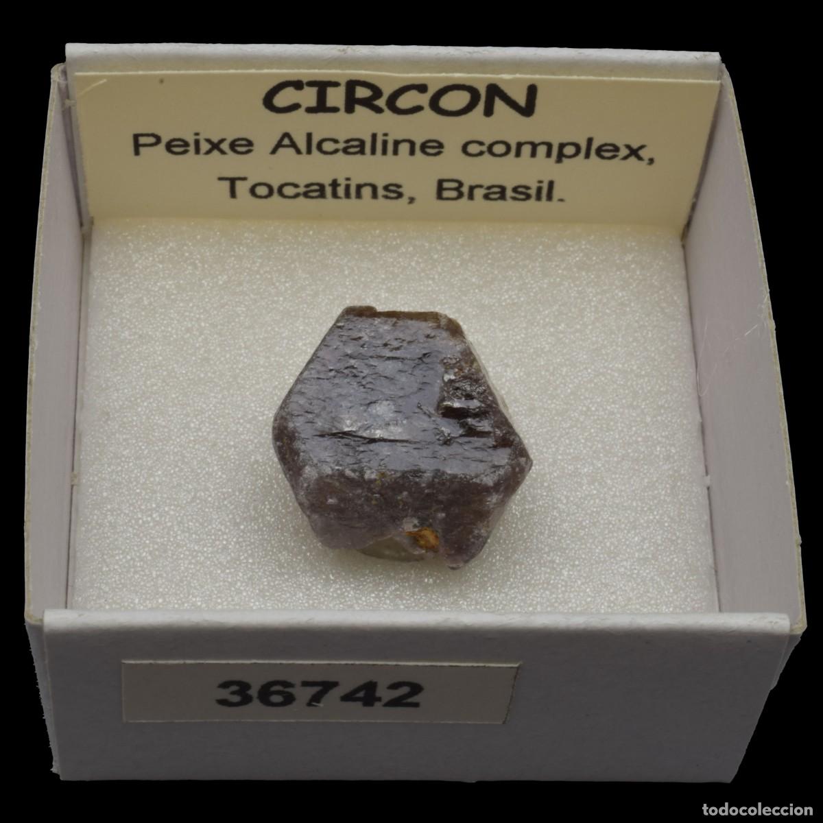 Coleccionismo de minerales: CIRCON (Peixe alkaline complex, Tocatins, Brasil) #36742