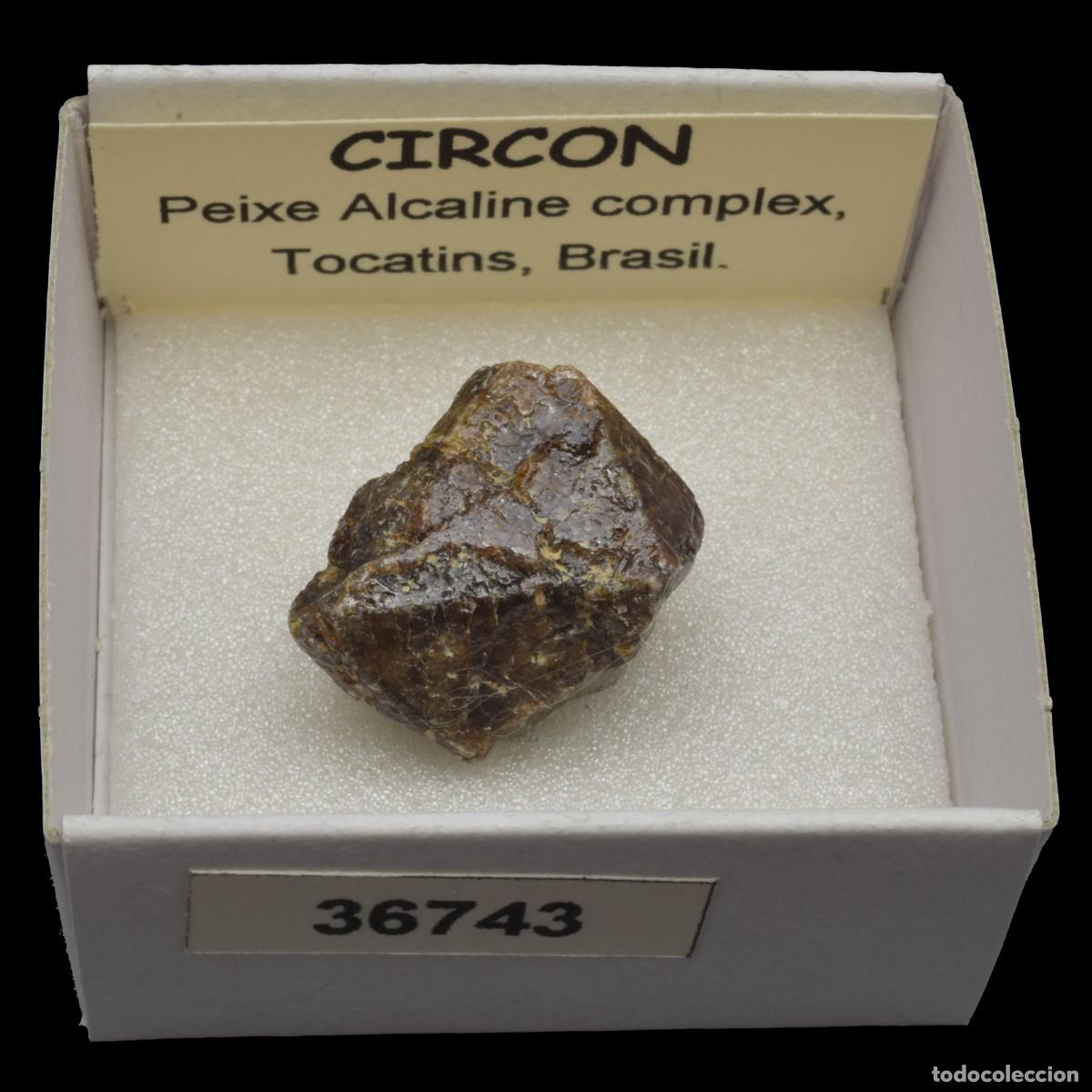 Coleccionismo de minerales: CIRCON (Peixe alkaline complex, Tocatins, Brasil) #36743