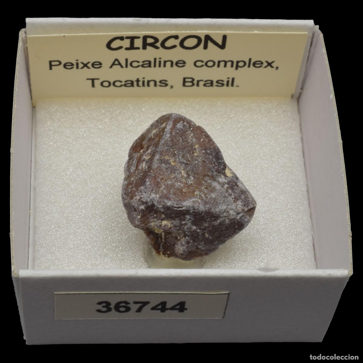 Coleccionismo de minerales: CIRCON (Peixe alkaline complex, Tocatins, Brasil) #36744
