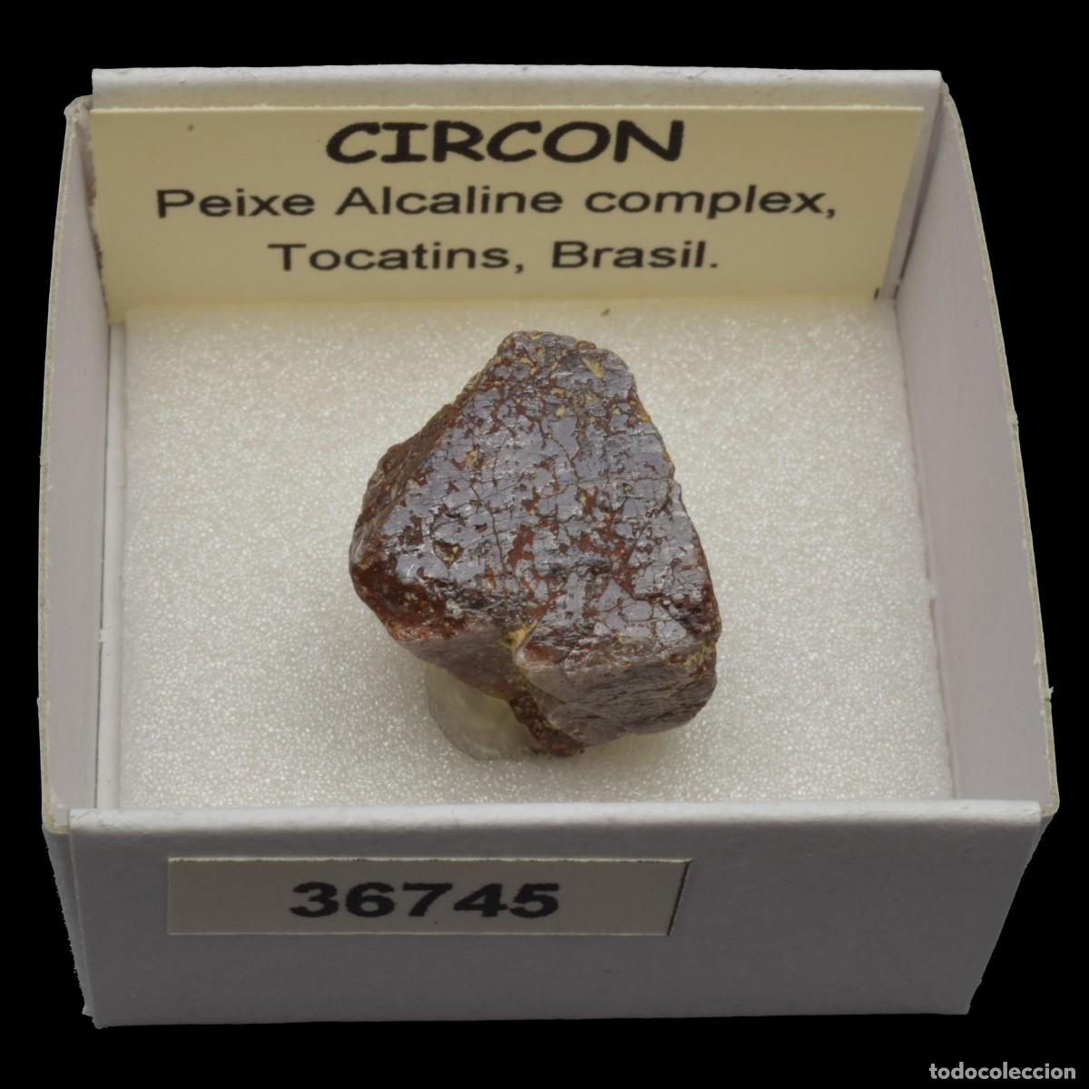 Coleccionismo de minerales: CIRCON (Peixe alkaline complex, Tocatins, Brasil) #36745