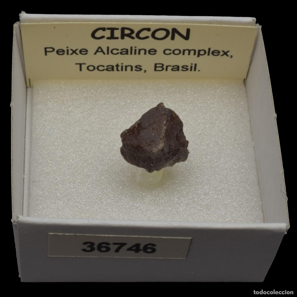 Coleccionismo de minerales: CIRCON (Peixe alkaline complex, Tocatins, Brasil) #36746