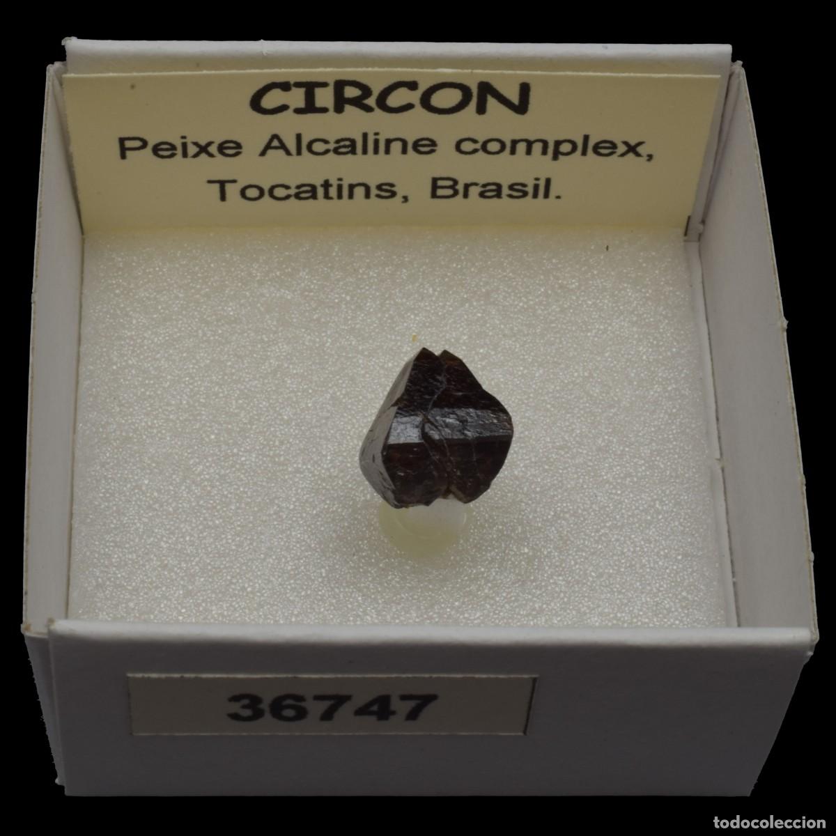 Coleccionismo de minerales: CIRCON (Peixe alkaline complex, Tocatins, Brasil) #36747