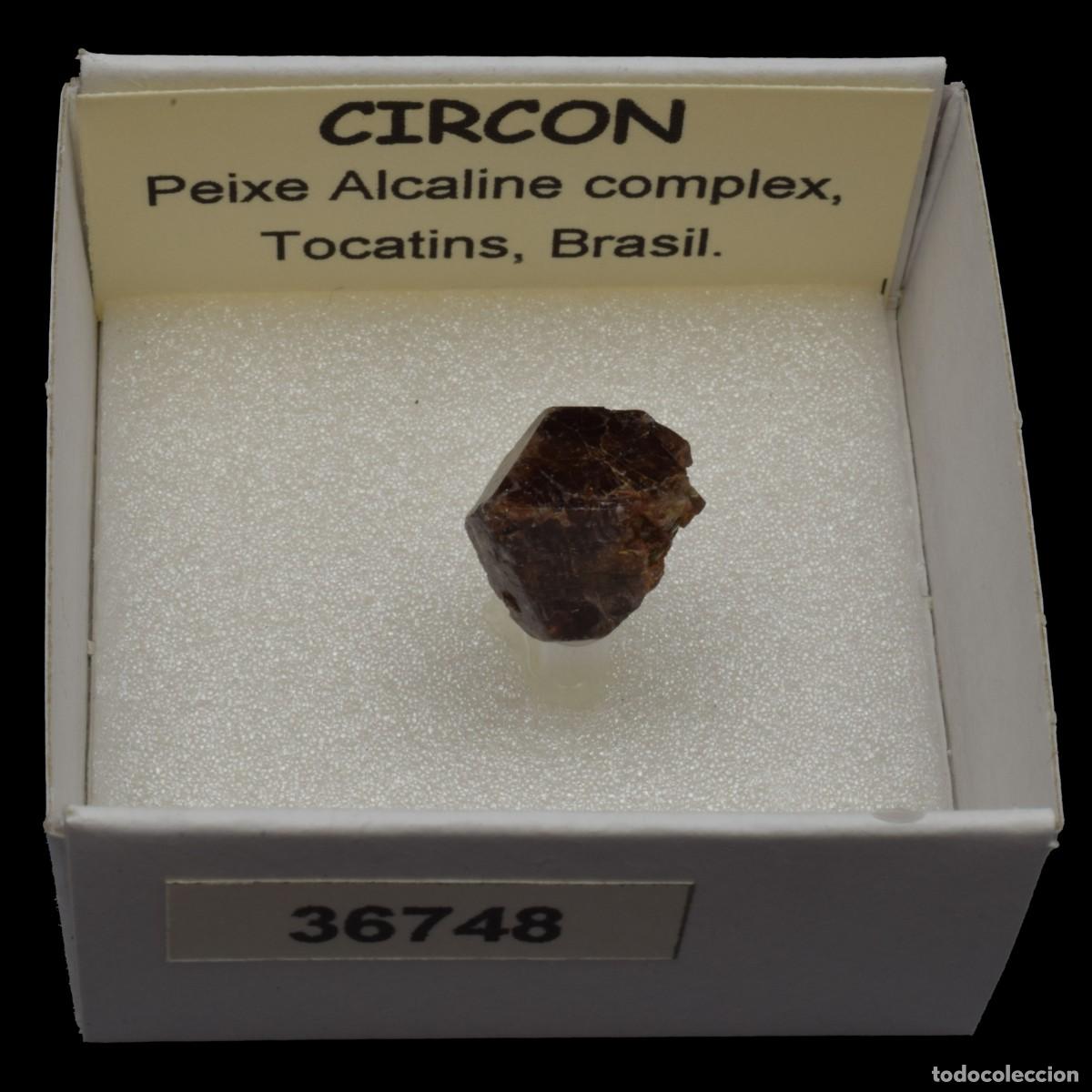 Coleccionismo de minerales: CIRCON (Peixe alkaline complex, Tocatins, Brasil) #36748