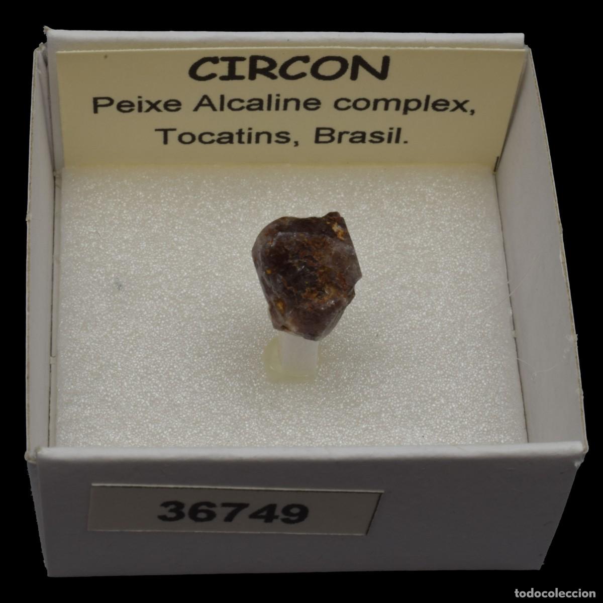 Coleccionismo de minerales: CIRCON (Peixe alkaline complex, Tocatins, Brasil) #36749
