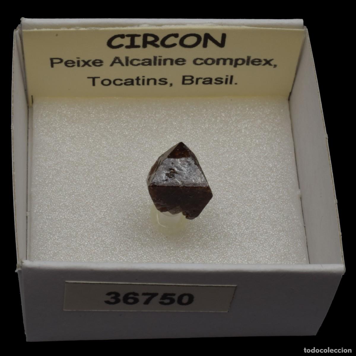 Coleccionismo de minerales: CIRCON (Peixe alkaline complex, Tocatins, Brasil) #36750