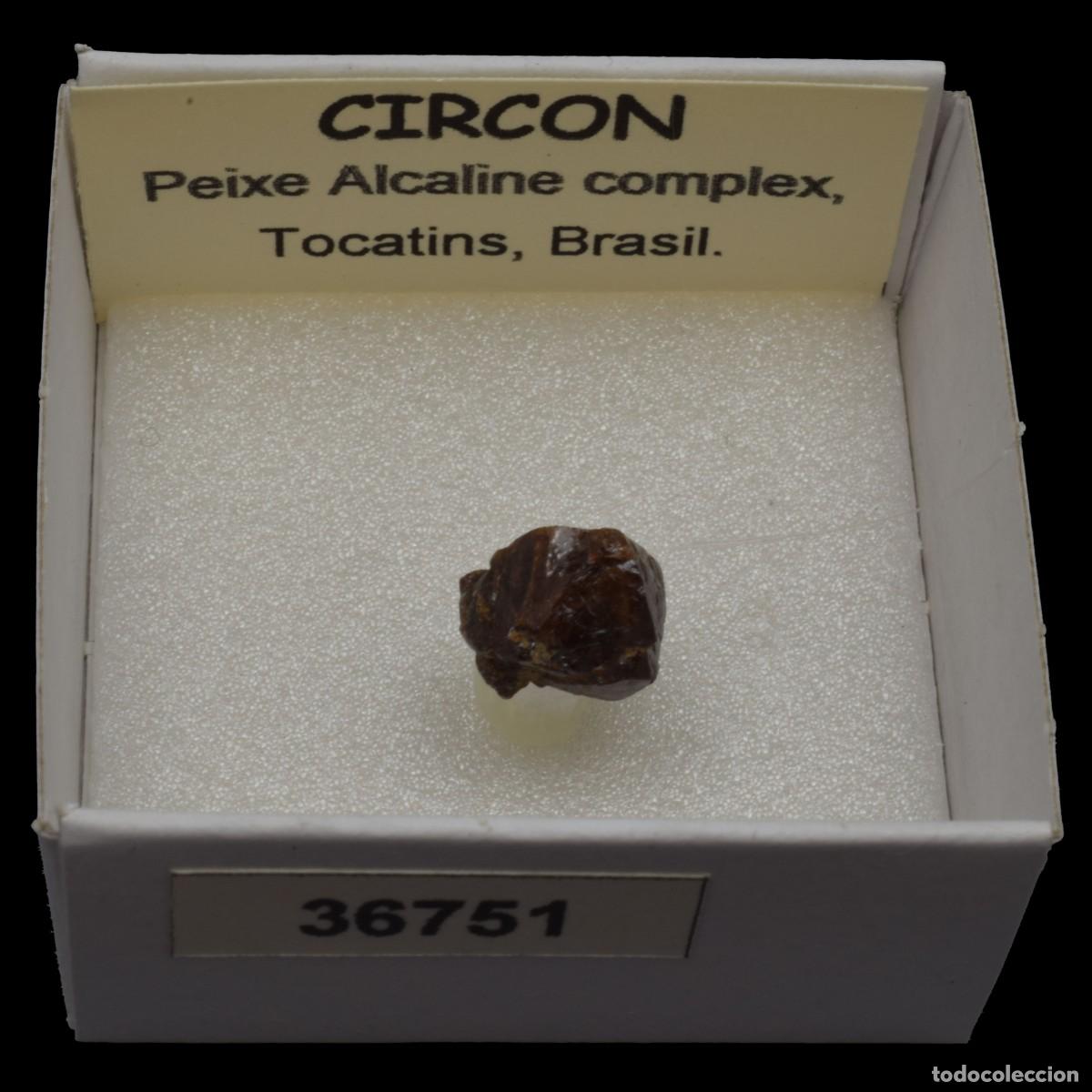 Coleccionismo de minerales: CIRCON (Peixe alkaline complex, Tocatins, Brasil) #36751
