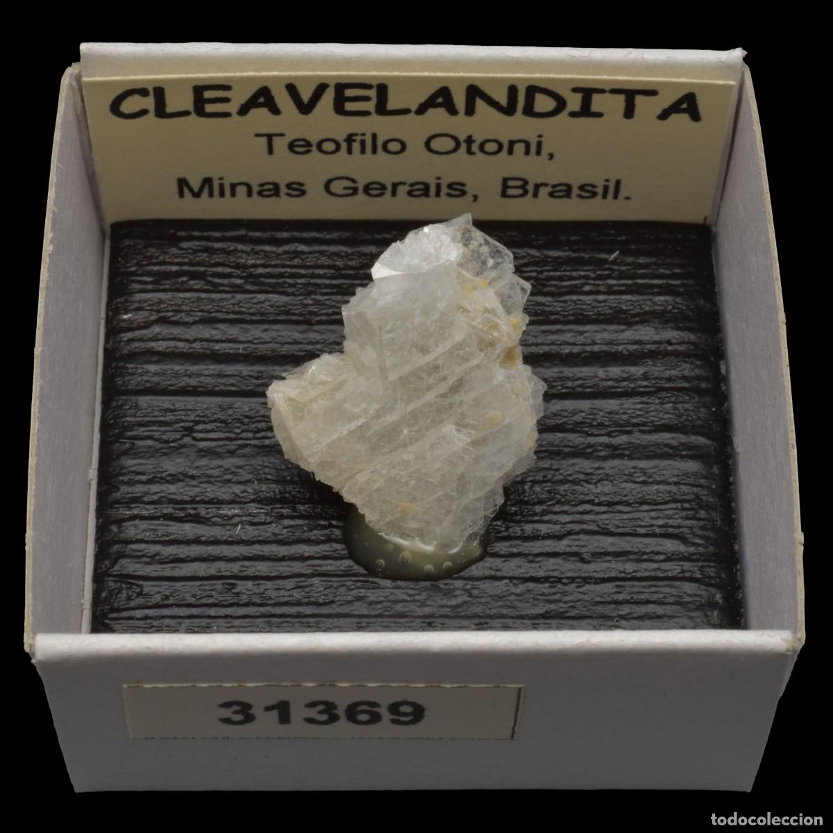 Coleccionismo de minerales: CLEAVELANDITA (Teofilo Otoni, Minas Gerais, Brasil) #31369