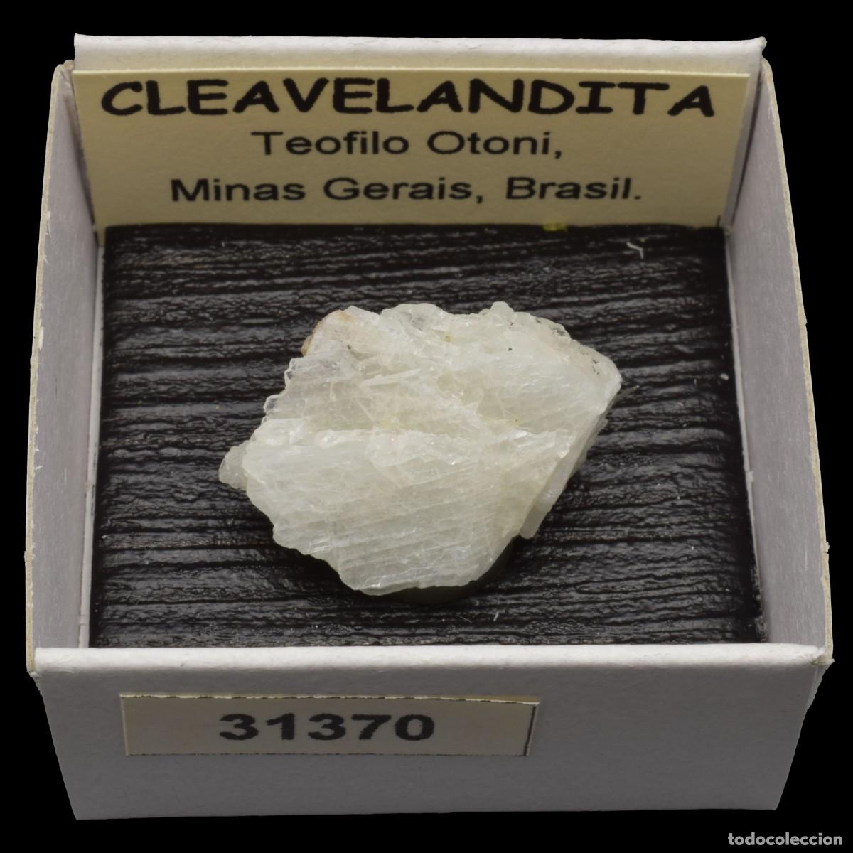 Coleccionismo de minerales: CLEAVELANDITA (Teofilo Otoni, Minas Gerais, Brasil) #31370