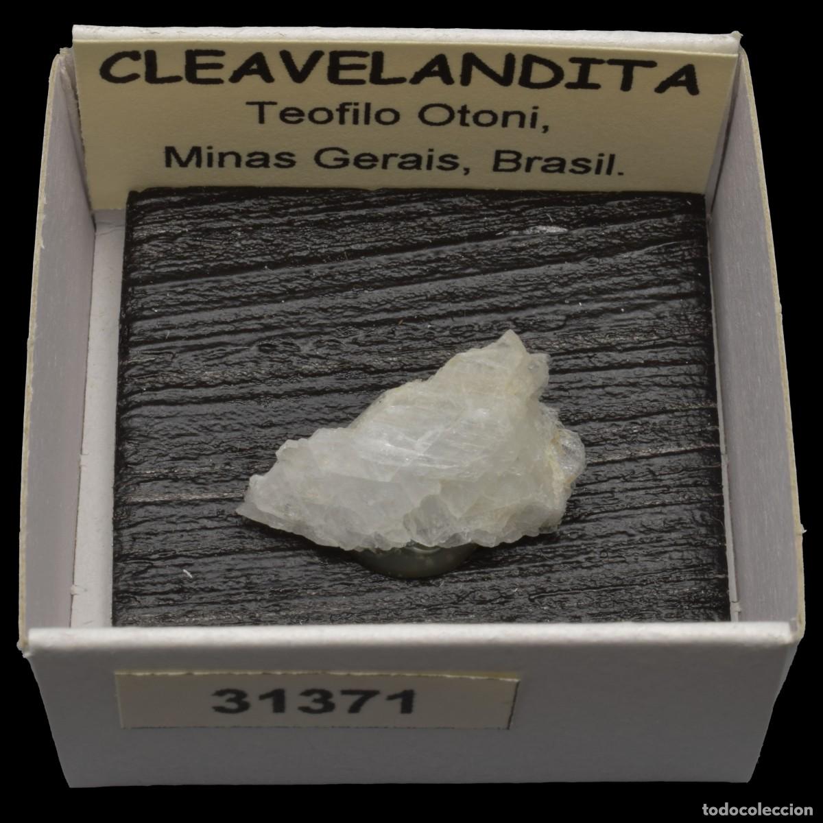 Coleccionismo de minerales: CLEAVELANDITA (Teofilo Otoni, Minas Gerais, Brasil) #31371