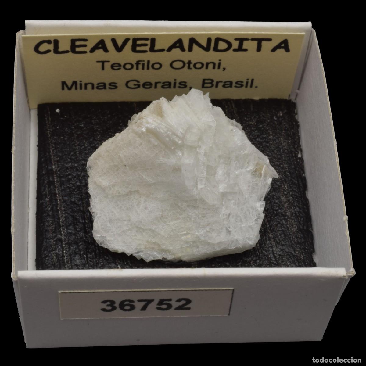 Coleccionismo de minerales: CLEAVELANDITA (Teofilo Otoni, Minas Gerais, Brasil) #36752