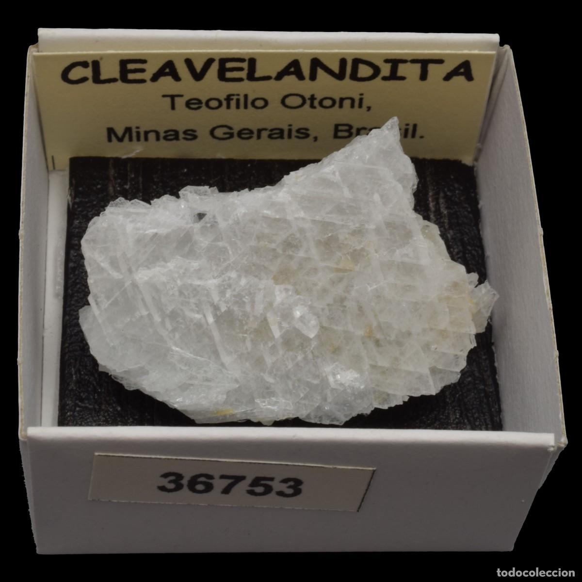 Coleccionismo de minerales: CLEAVELANDITA (Teofilo Otoni, Minas Gerais, Brasil) #36753