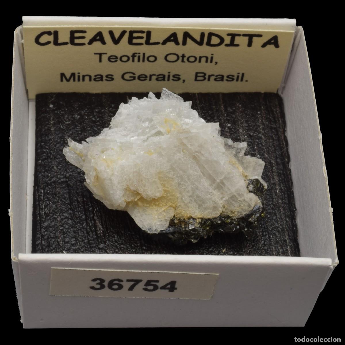 Coleccionismo de minerales: CLEAVELANDITA (Teofilo Otoni, Minas Gerais, Brasil) #36754